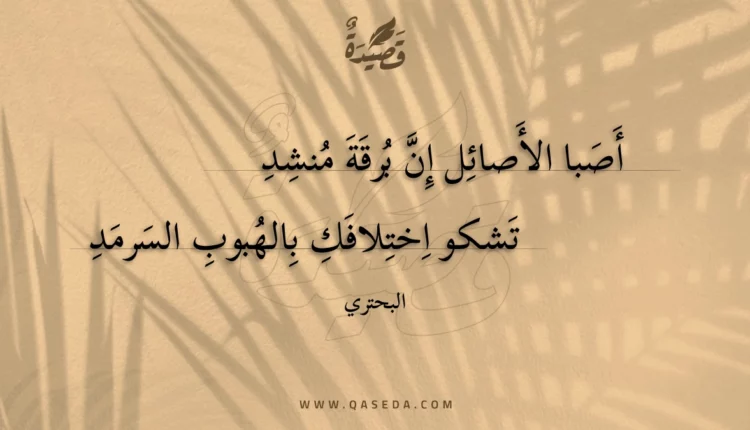 قصيدة أصبا الأصائل إن برقة منشد
