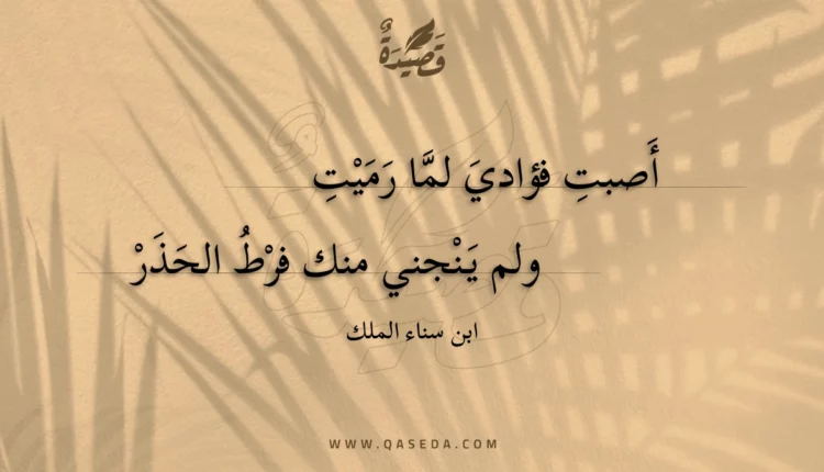 قصيدة أصبت فؤادي لما رميت