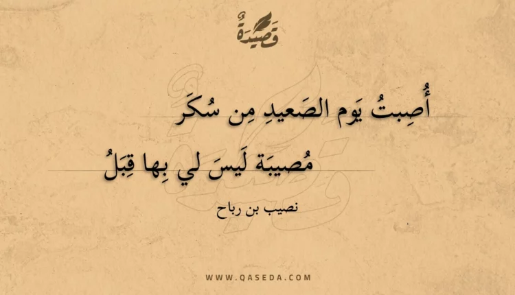 قصيدة أصبت يوم الصعيد من سكر