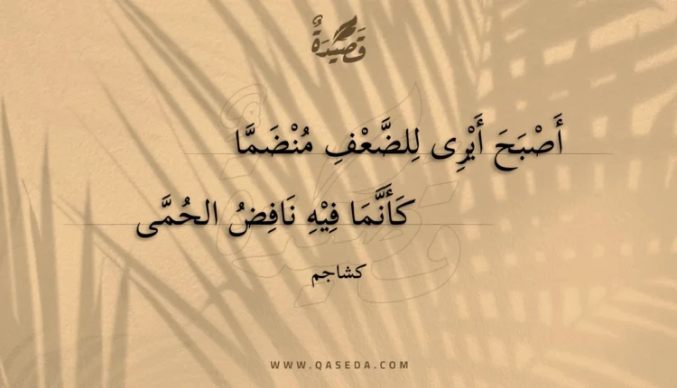 قصيدة أصبح أيرى للضعف منضما