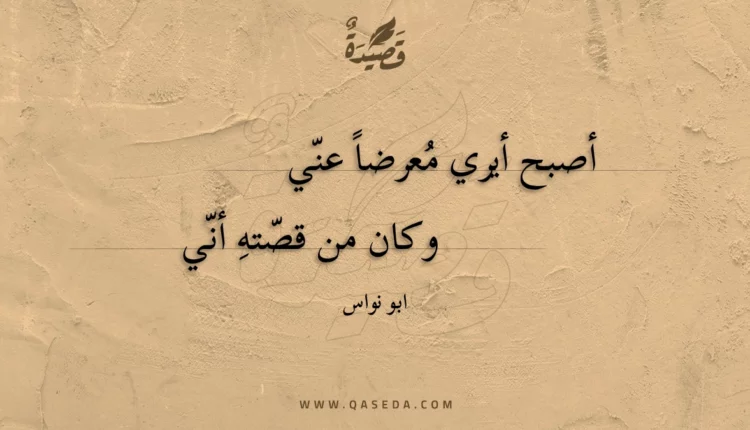قصيدة أصبح أيري معرضا عني