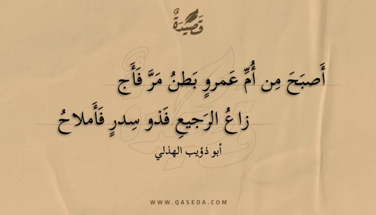 قصيدة أصبح من أم عمرو بطن مر فأج