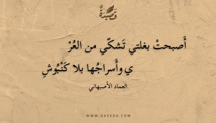 قصيدة أصبحت بغلتي تشكي من العرى