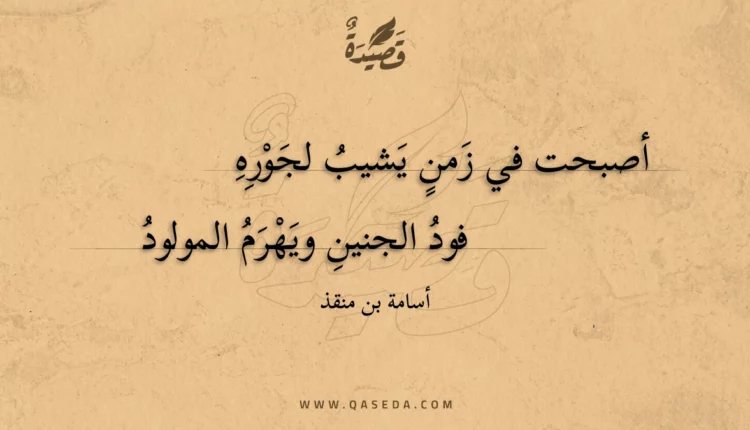قصيدة أصبحت في زمن يشيب لجوره