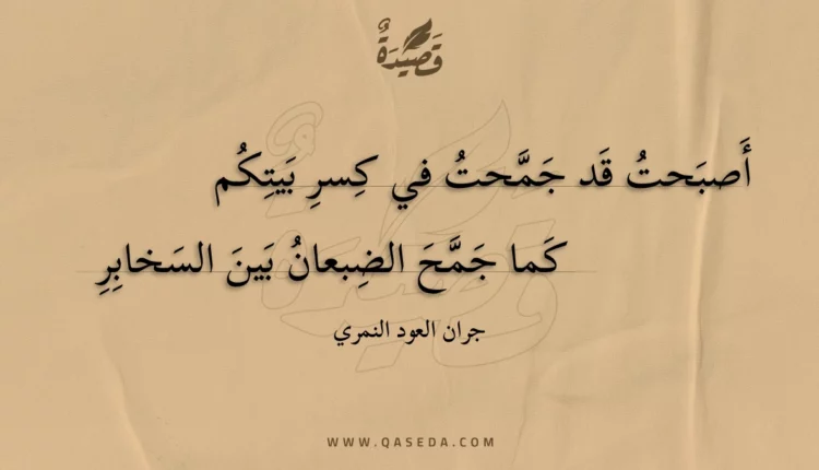 قصيدة أصبحت قد جمحت في كسر بيتكم