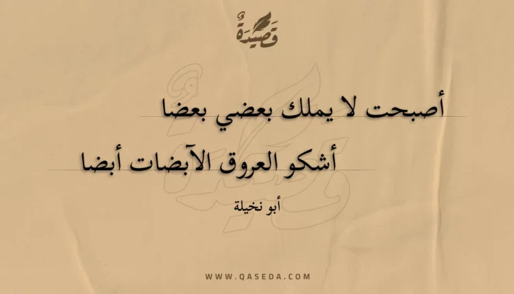 قصيدة أصبحت لا يملك بعضي بعضا