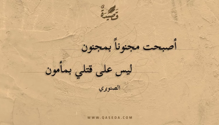 قصيدة أصبحت مجنونا بمجنون