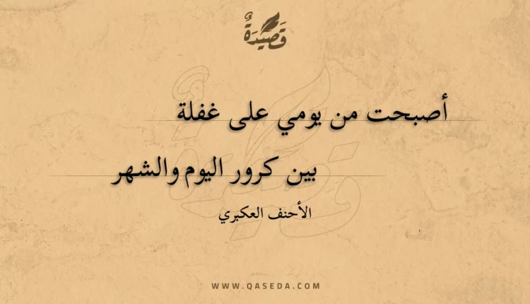 قصيدة أصبحت من يومي على غفلة