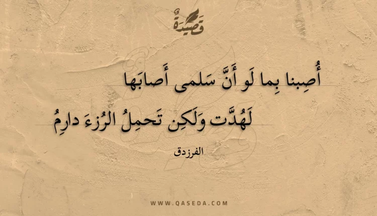 قصيدة أصبنا بما لو أن سلمى أصابها