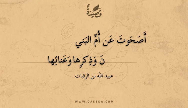 قصيدة أصحوت عن أم البنين
