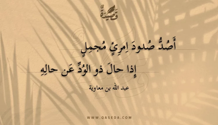 قصيدة أصد صدود امرئ مجمل