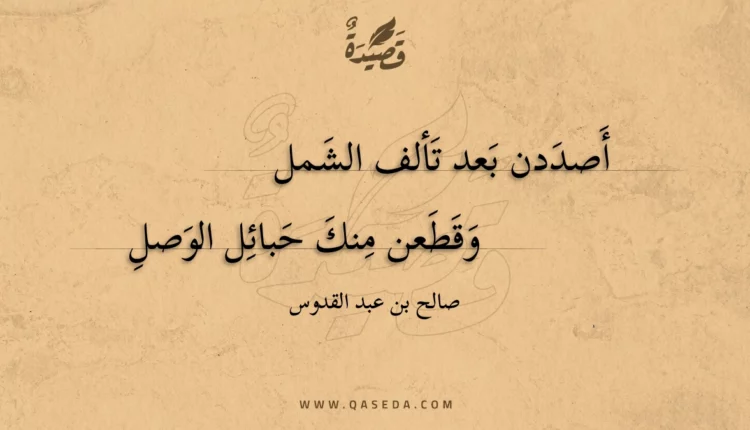 قصيدة أصددن بعد تألف الشمل