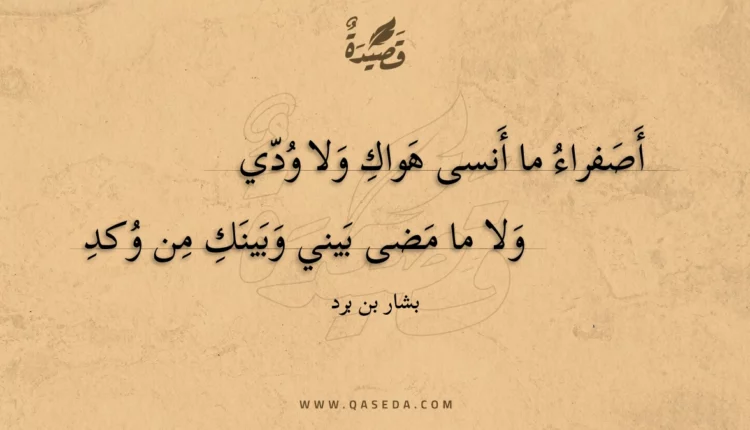 قصيدة أصفراء ما أنسى هواك ولا ودي