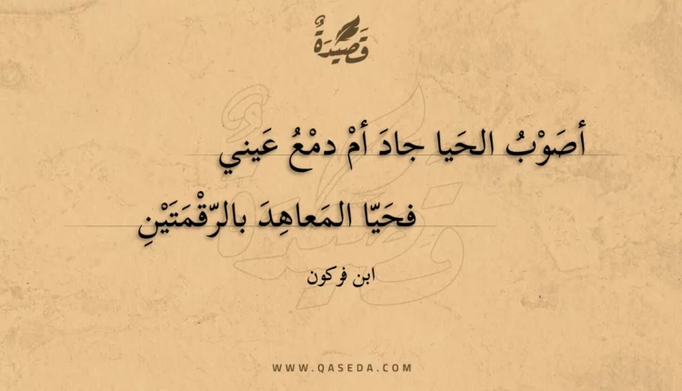قصيدة أصوب الحيا جاد أم دمع عيني