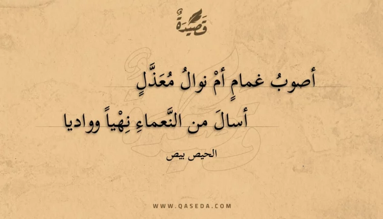 قصيدة أصوب غمام أم نوال معذل