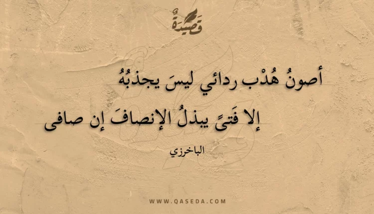 قصيدة أصون هدب ردائي ليس يجذبه