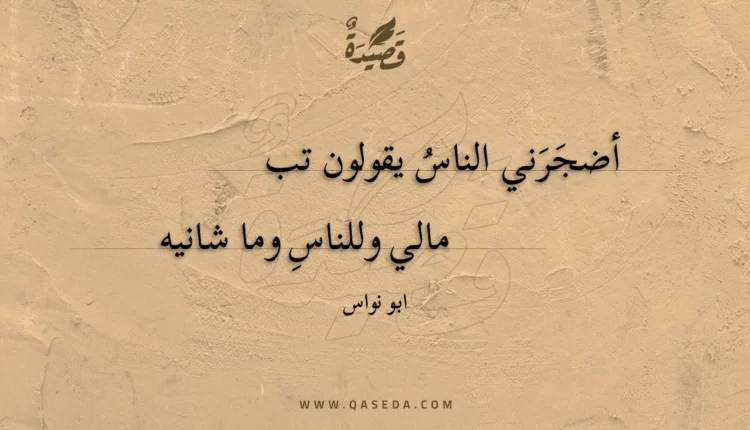 قصيدة أضجرني الناس يقولون تب