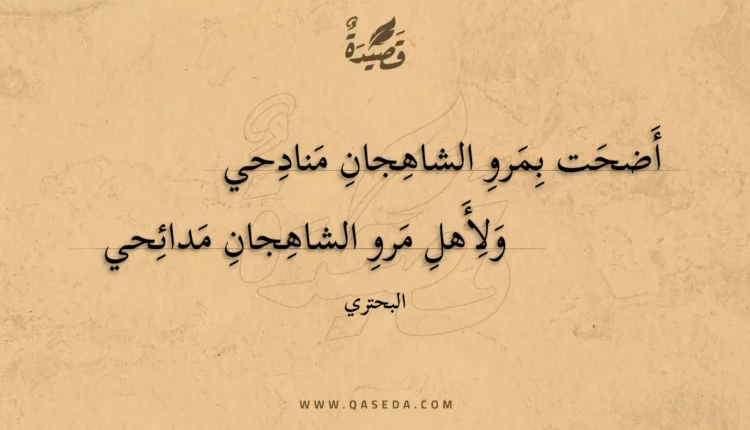 قصيدة أضحت بمرو الشاهجان منادحي