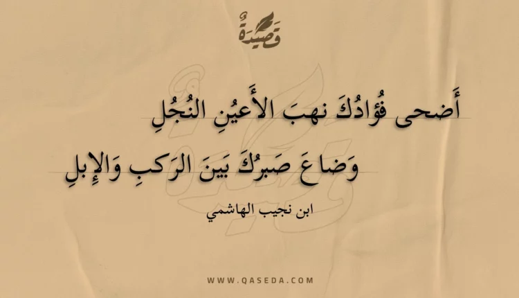 قصيدة أضحى فؤادك نهب الأعين النجل