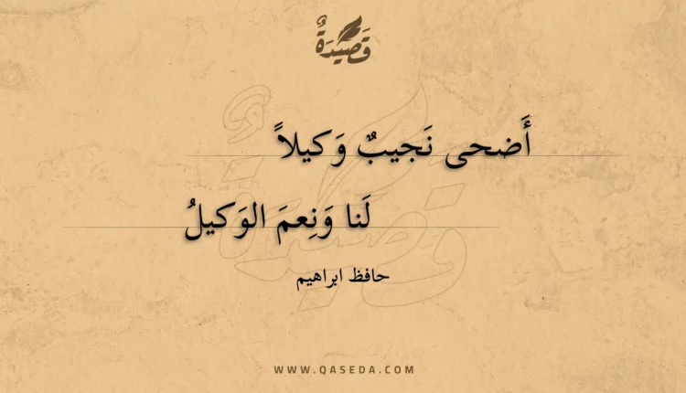 قصيدة أضحى نجيب وكيلا