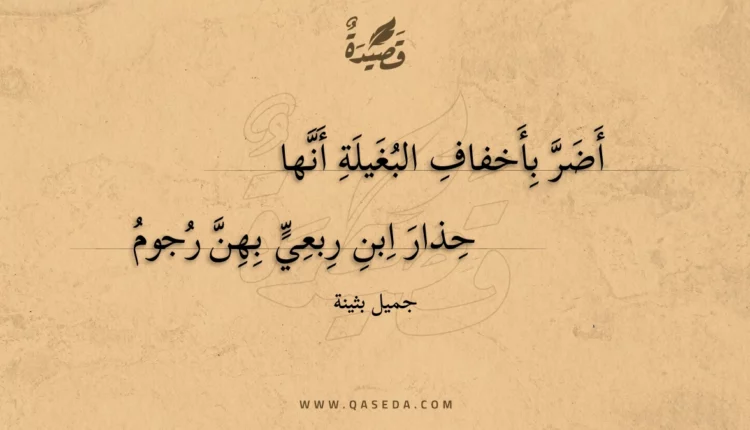 قصيدة أضر بأخفاف البغيلة أنها