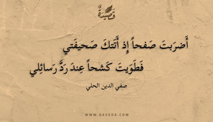 قصيدة أضربت صفحا إذ أتتك صحيفتي