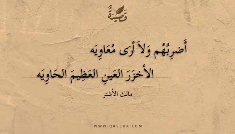 قصيدة أضربهم ولا أرى معاويه
