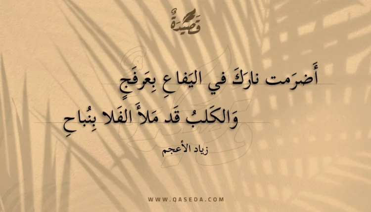 قصيدة أضرمت نارك في اليفاع بعرفج