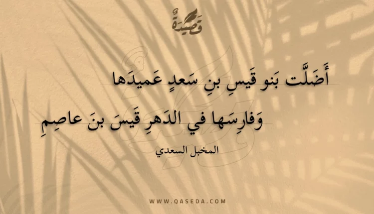 قصيدة أضلت بنو قيس بن سعد عميدها
