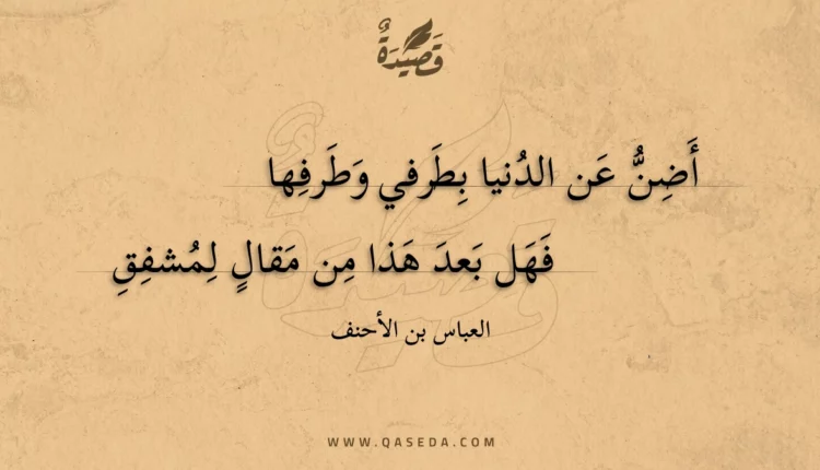 قصيدة أضن عن الدنيا بطرفي وطرفها