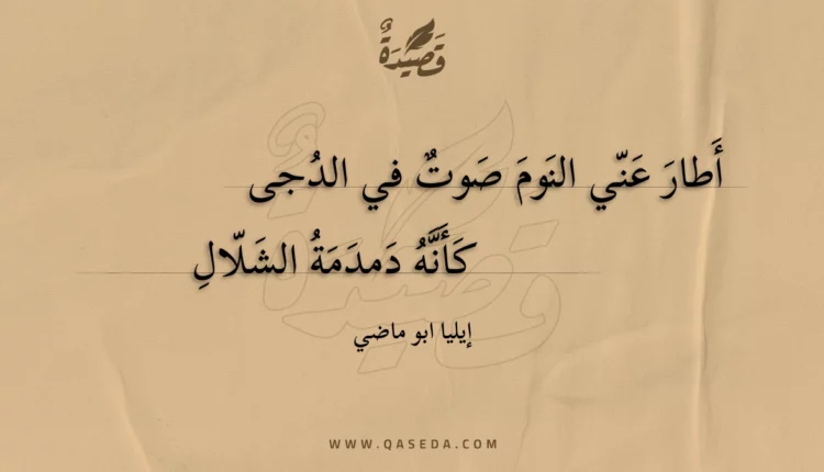 قصيدة أطار عني النوم صوت في الدجى