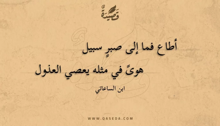 قصيدة أطاع فما إلى صبر سبيل