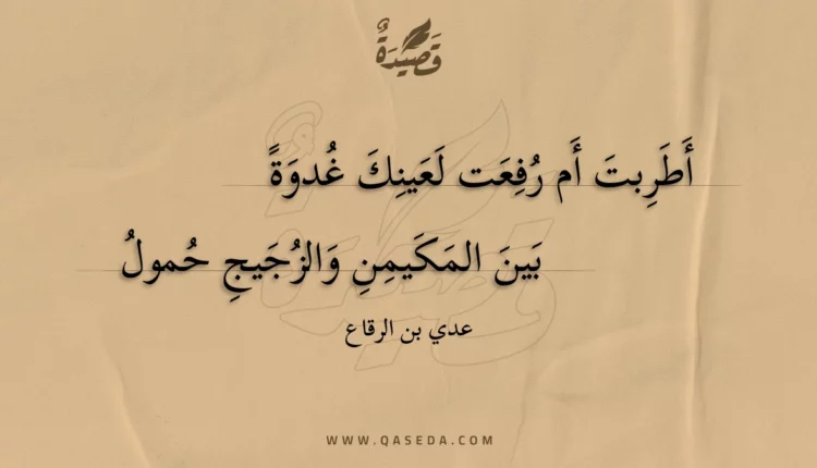 قصيدة أطربت أم رفعت لعينك غدوة