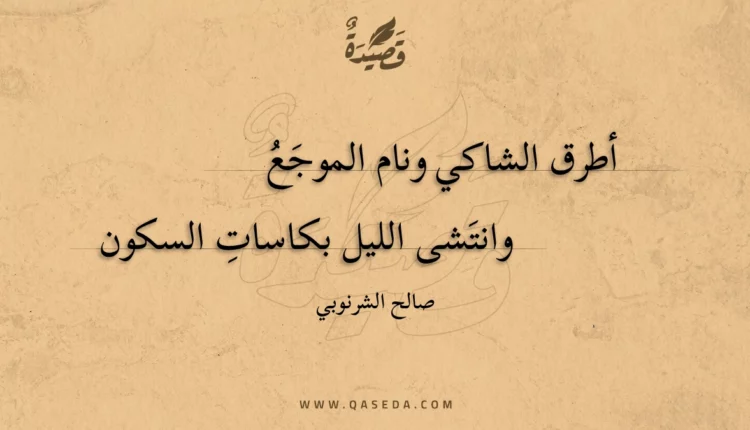 قصيدة أطرق الشاكي ونام الموجع
