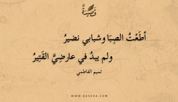قصيدة أطعت الصبا وشبابي نضير
