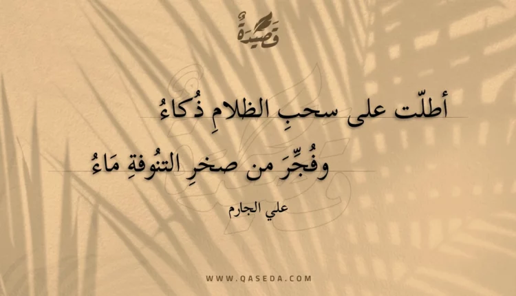 قصيدة أطلت على سحب الظلام ذكاء