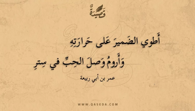 قصيدة أطوي الضمير على حرارته