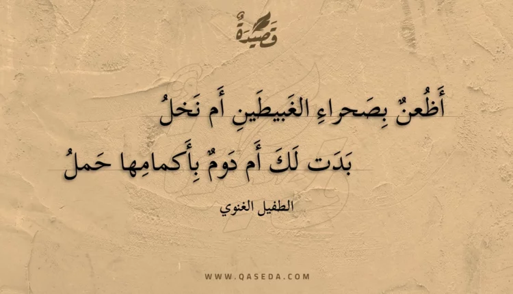 قصيدة أظعن بصحراء الغبيطين أم نخل