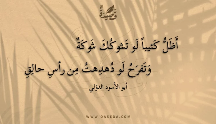 قصيدة أظل كئيبا لو تشوكك شوكة