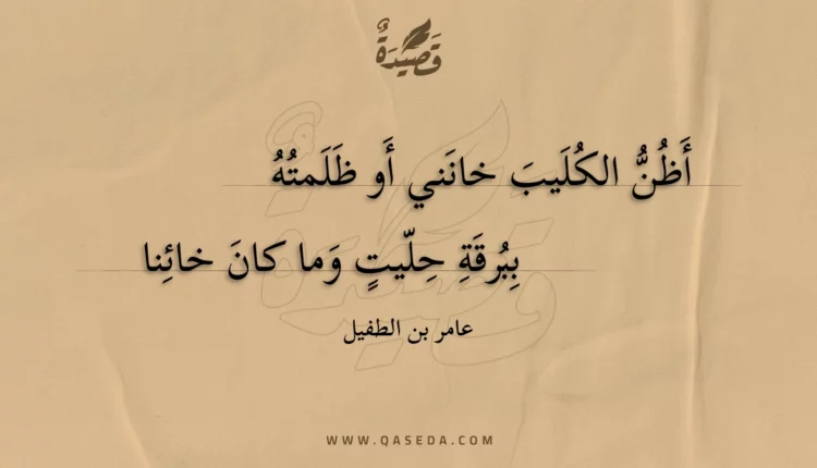 قصيدة أظن الكليب خانني أو ظلمته