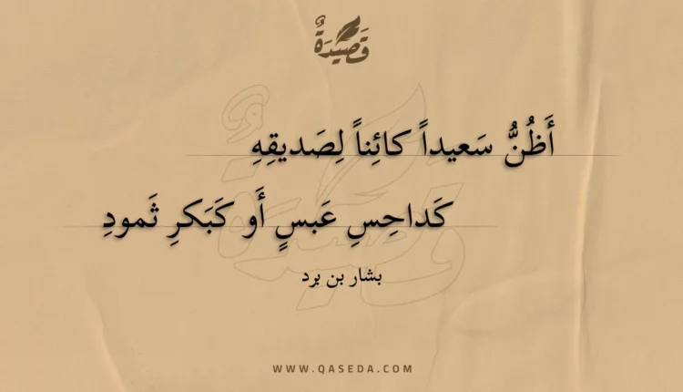 قصيدة أظن سعيدا كائنا لصديقه