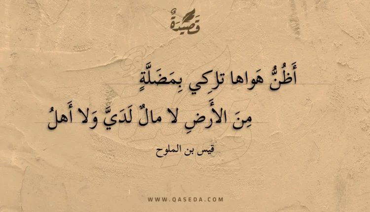 قصيدة أظن هواها تاركي بمضلة