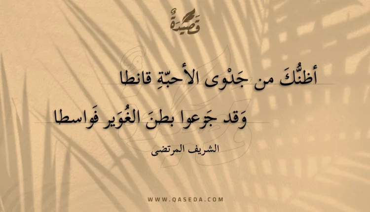 قصيدة أظنك من جدوى الأحبة قانطا