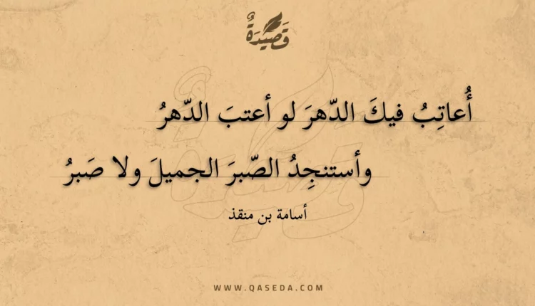 قصيدة أعاتب فيك الدهر لو أعتب الدهر
