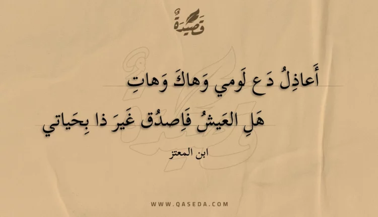 قصيدة أعاذل دع لومي وهاك وهات