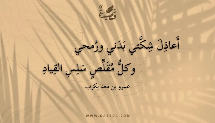 قصيدة أعاذل شكتي بدني ورمحي
