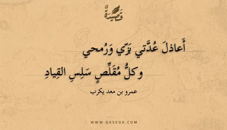 قصيدة أعاذل عدتي بزي ورمحي