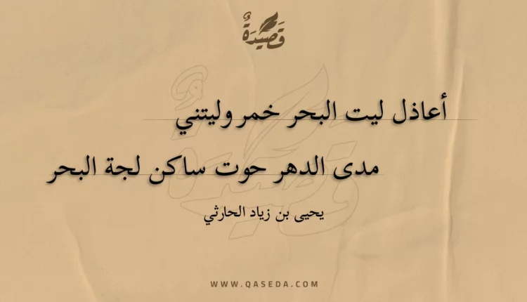 قصيدة أعاذل ليت البحر خمر وليتني