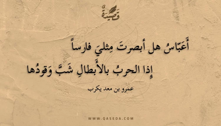 قصيدة أعباس هل أبصرت مثلي فارسا