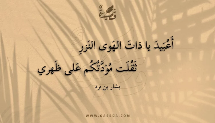 قصيدة أعبيد يا ذات الهوى النزر